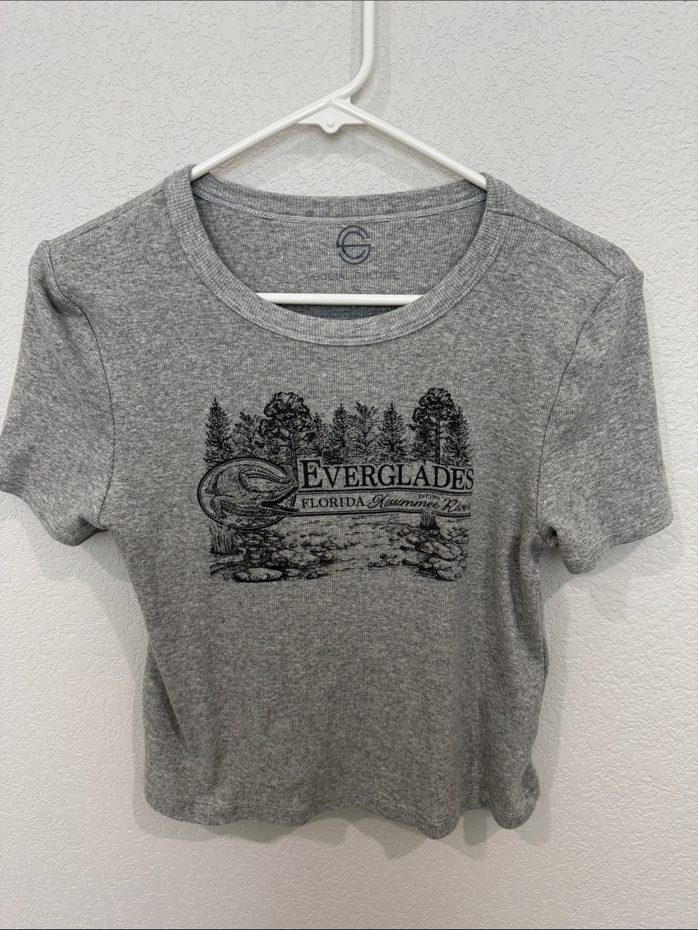 Everglades Graphic Crop Tee - Gray